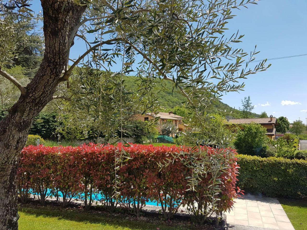 Casa Minerva Apartment Albisano Exterior photo